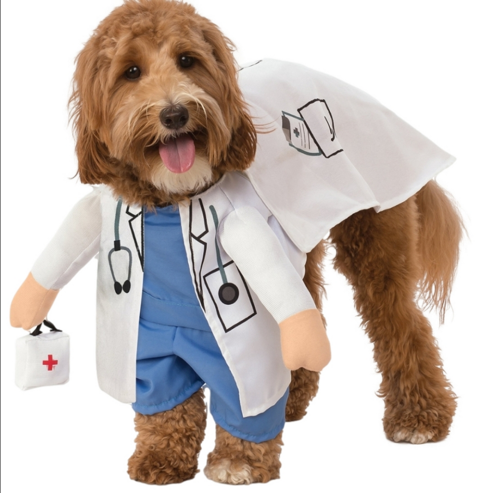 Pet Halloween Costume Walking Vet Nurse Doctor Step in Shirt Attached Arms sz.S